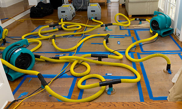 Professional Burst Pipe Water Damage technician working in Clear Lake, MN